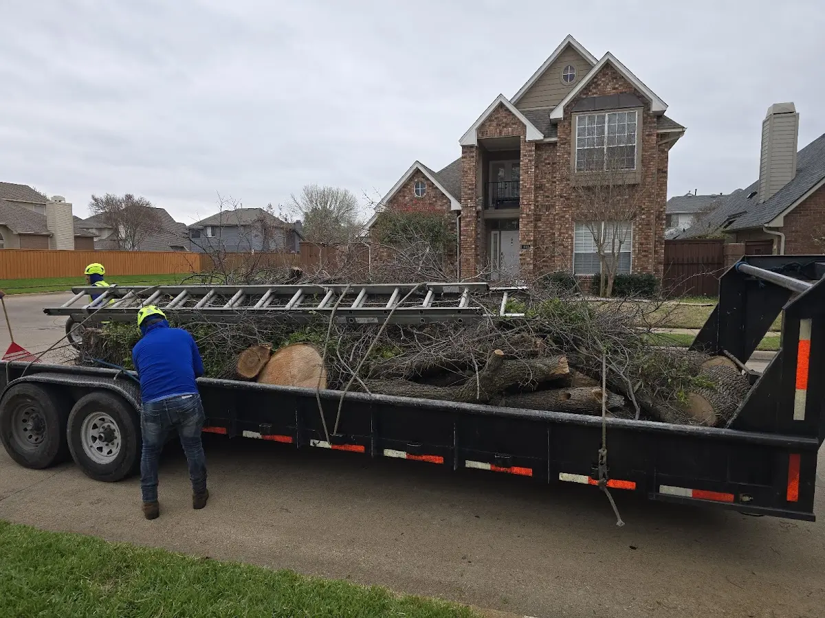 Expert Tree Fertilization with proper safety equipment in Bloomer